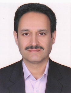 Mohsenzadeh Mohammad