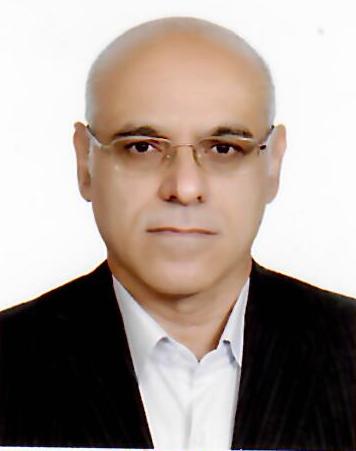 Syed Ali Reza Taghavi razavizadeh