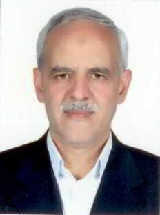 محسن ملکی